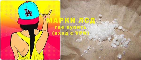 стаф Верея