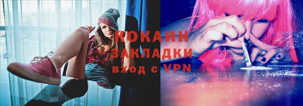 стаф Верея