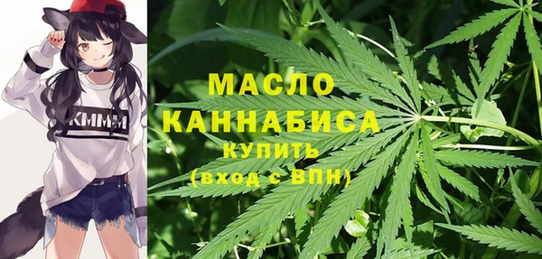 стаф Верея