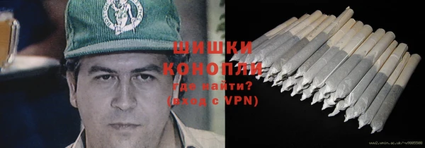 тгк Бородино