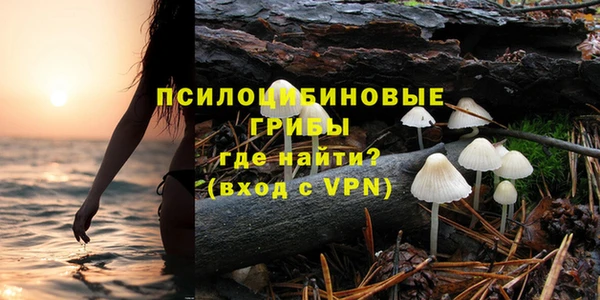 стаф Верея