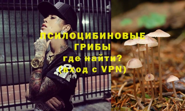 ГАЛЛЮЦИНОГЕННЫЕ ГРИБЫ Бугульма