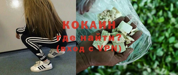 стаф Верея