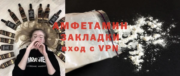 стаф Верея