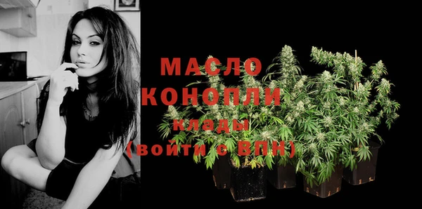 тгк Бородино