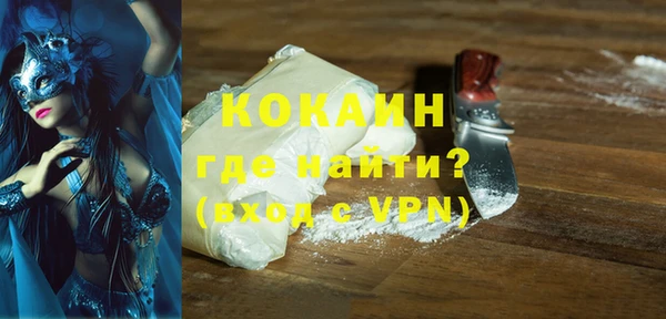 стаф Верея