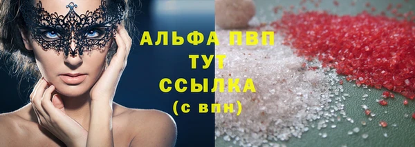 стаф Верея